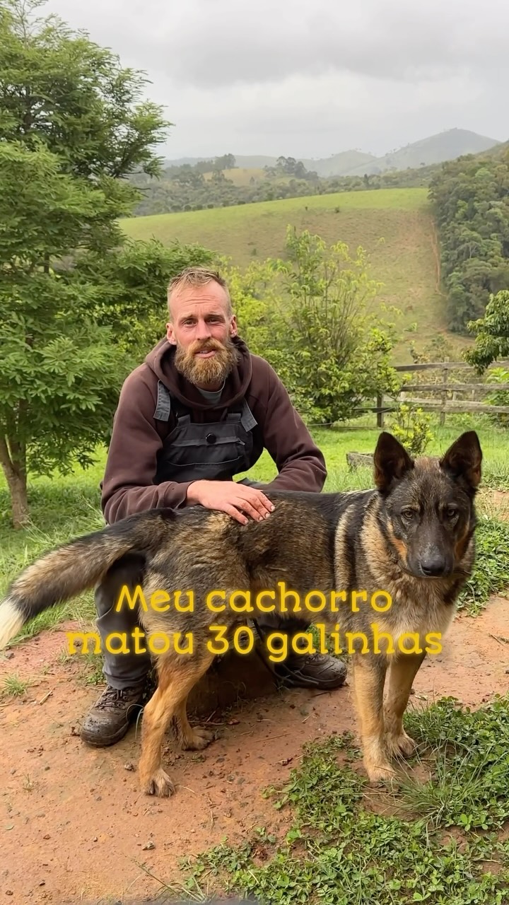 Capa do post