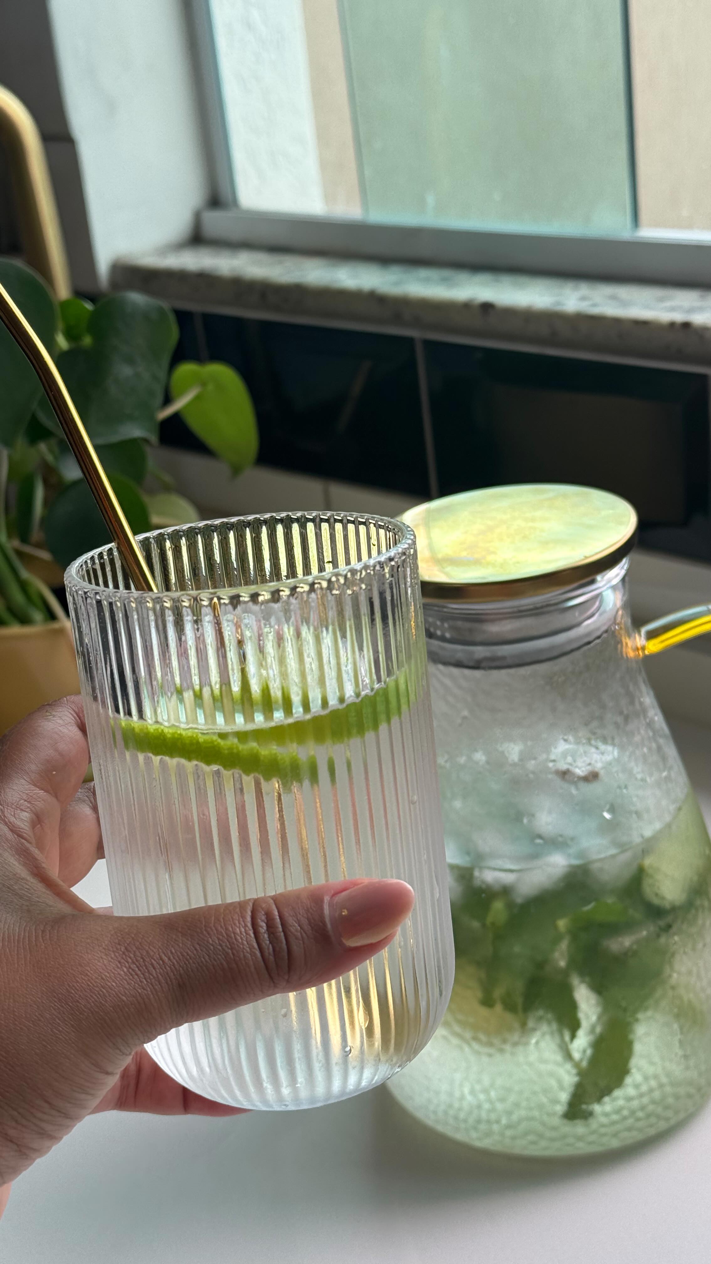 Água Saborizada 🍋

1 limão em rodelas 
Ramos de hortelã 
1 chá verde 
Muito gelo 
2 litros de água 💦 

E você qual seu truque pra se mant…